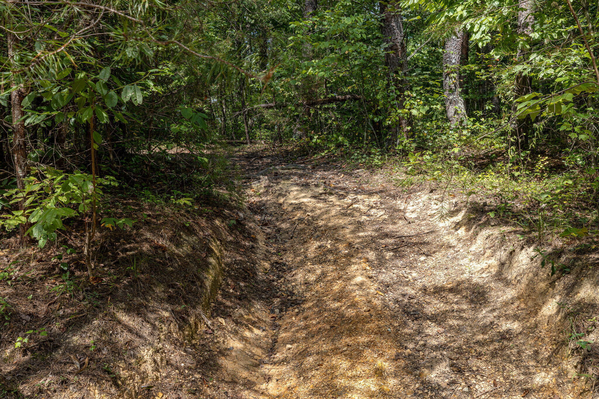 Hudlow Loop Road, Dunlap, Tennessee image 22