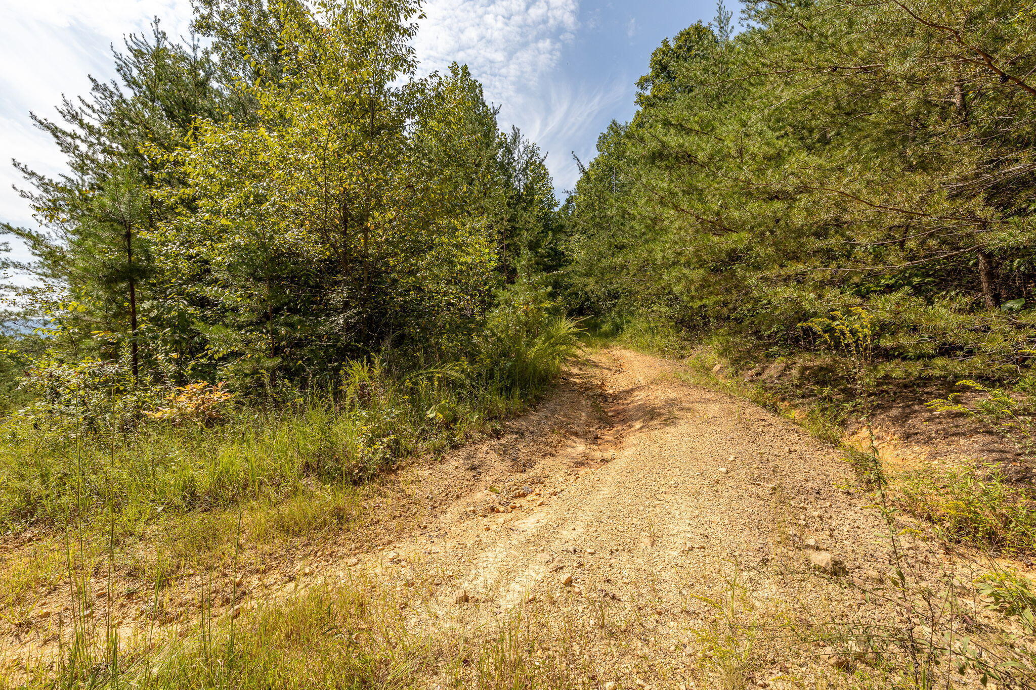 Hudlow Loop Road, Dunlap, Tennessee image 20