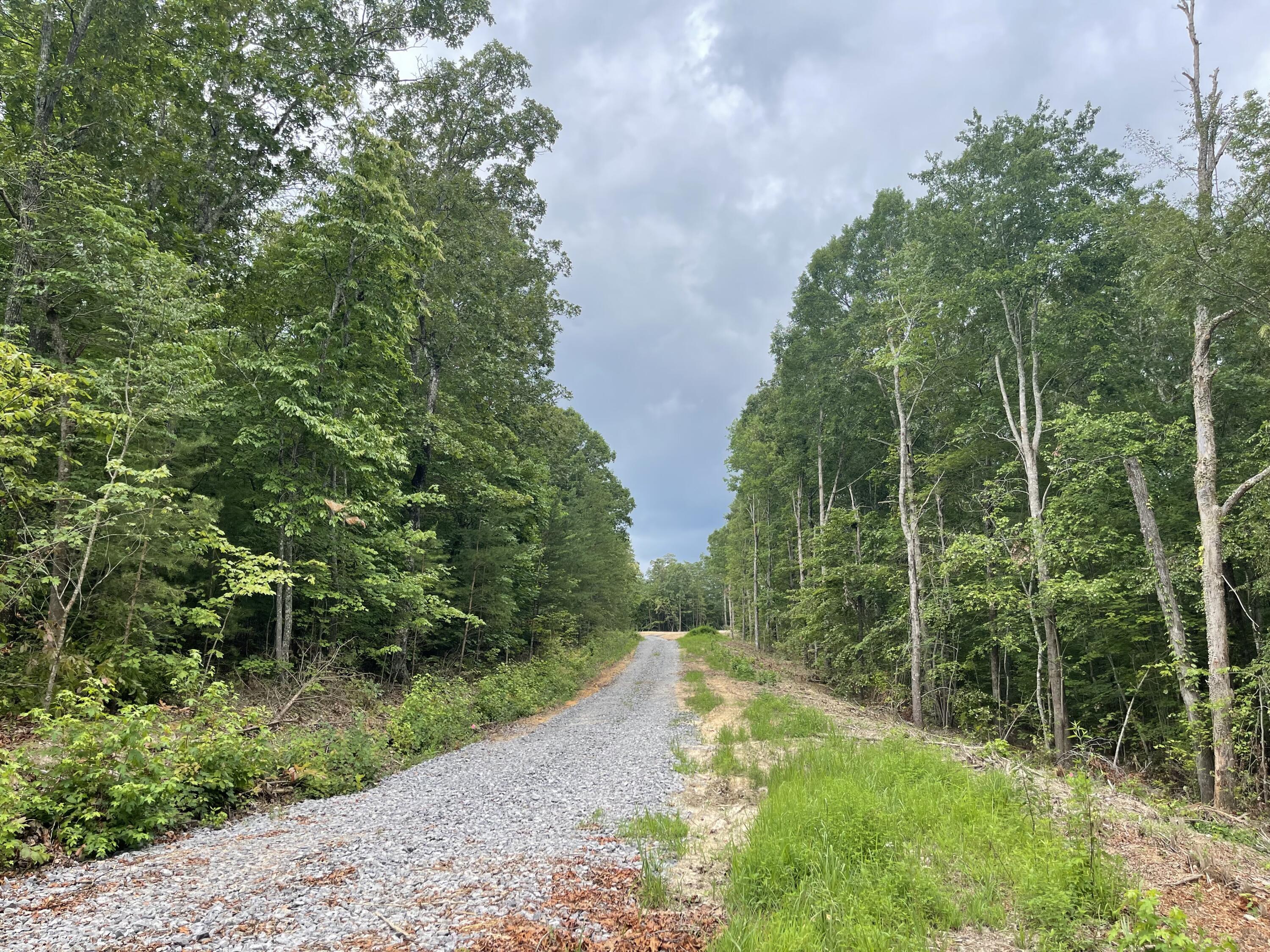 Hudlow Loop Road, Dunlap, Tennessee image 26