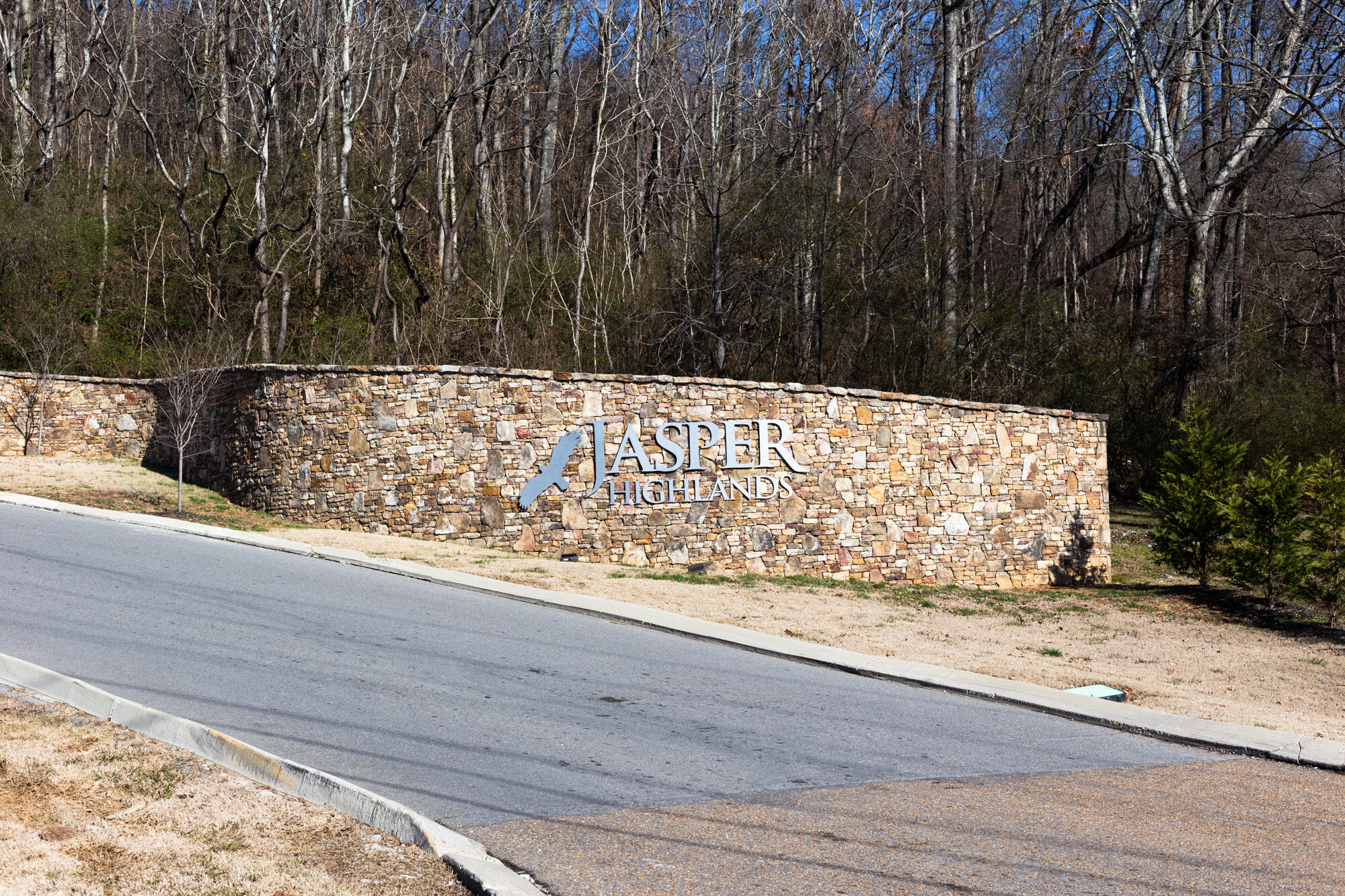 Lot 175 Crockett Pointe, Jasper, Tennessee image 30