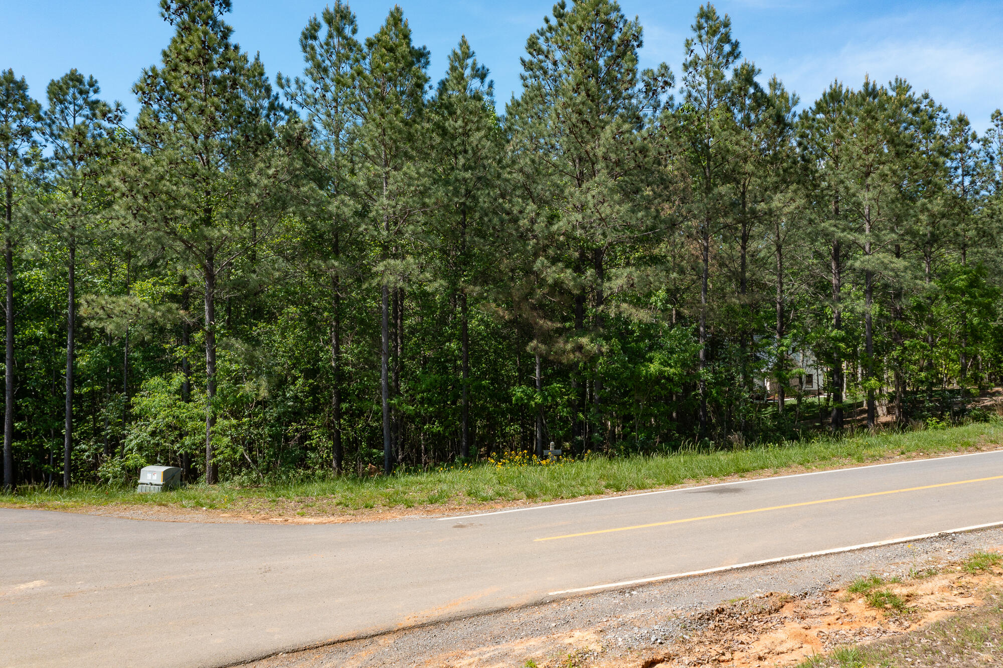 Lot 175 Crockett Pointe, Jasper, Tennessee image 3