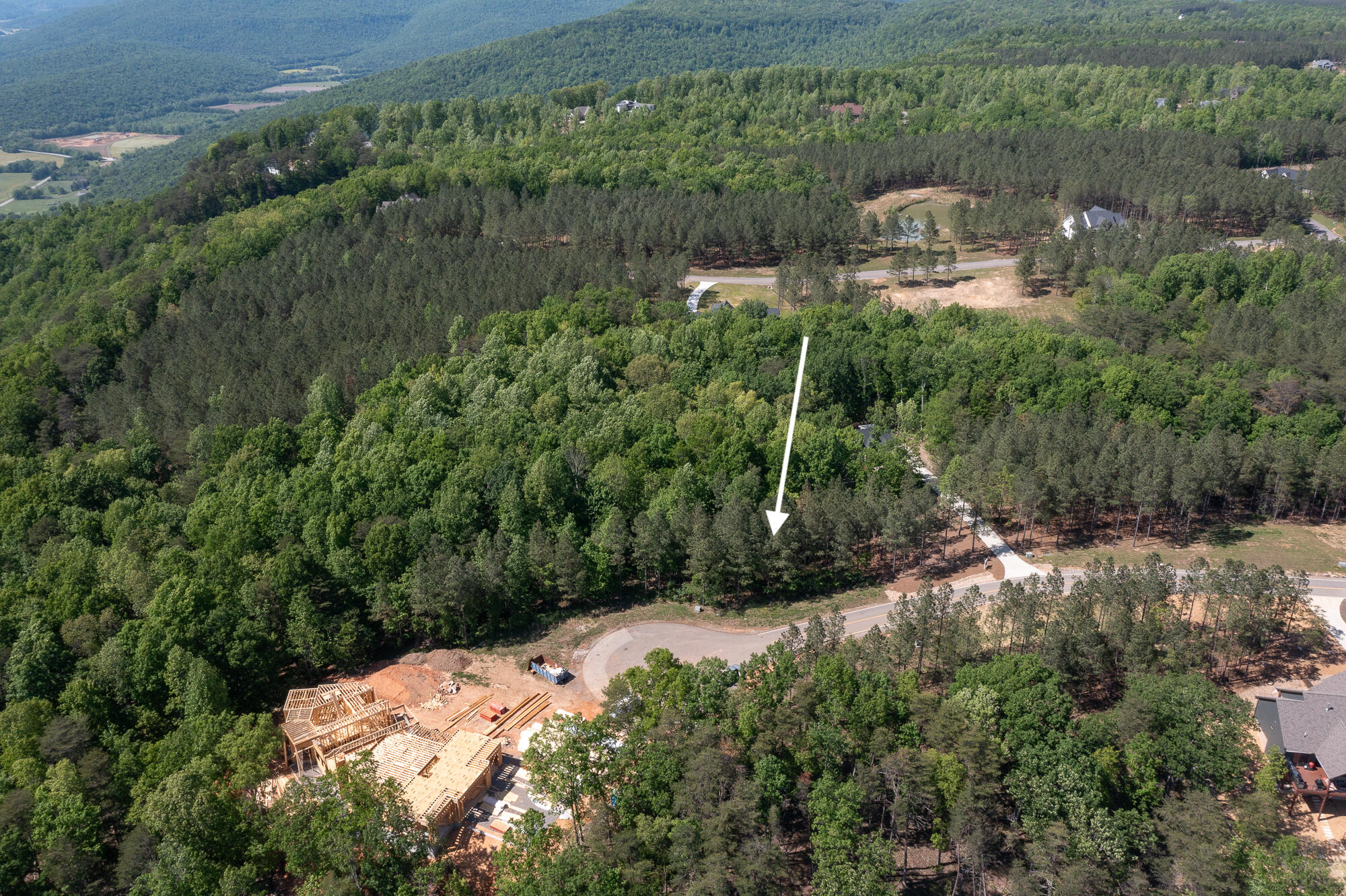 Lot 175 Crockett Pointe, Jasper, Tennessee image 27