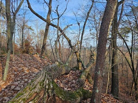 Tiny photo for Lot 25 Countryside Drive, Evensville, TN 37332 (MLS # 1510542)