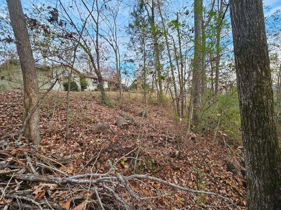 Lot 25 Countryside Drive, Evensville, Tennessee image 1