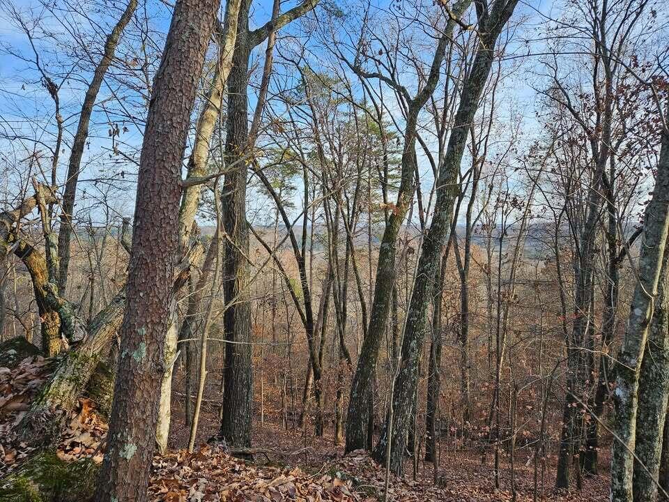 Lot 25 Countryside Drive, Evensville, Tennessee image 3