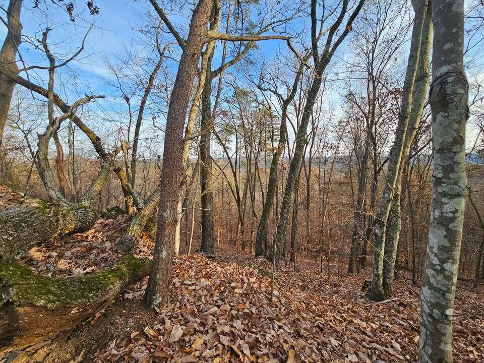 Lot 25 Countryside Drive, Evensville, Tennessee image 8