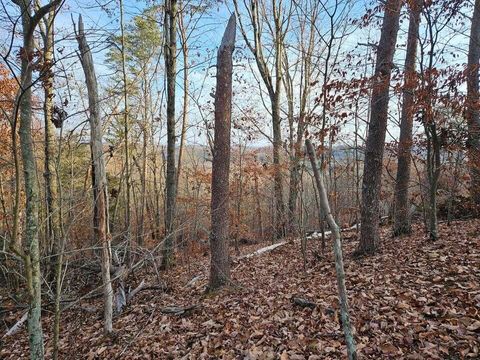 Tiny photo for Lot 25 Countryside Drive, Evensville, TN 37332 (MLS # 1510542)