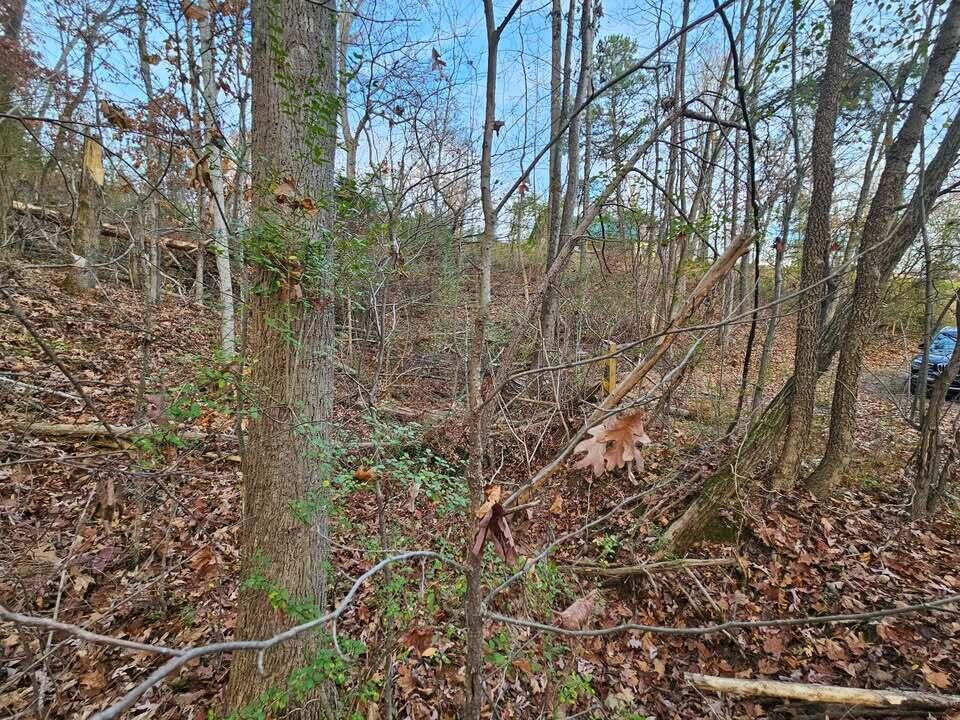 Lot 25 Countryside Drive, Evensville, Tennessee image 9