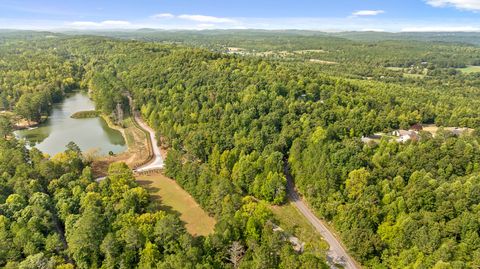 Photo of Tract 1 Blair Road, McDonald, TN 37353 (MLS # 1399099)