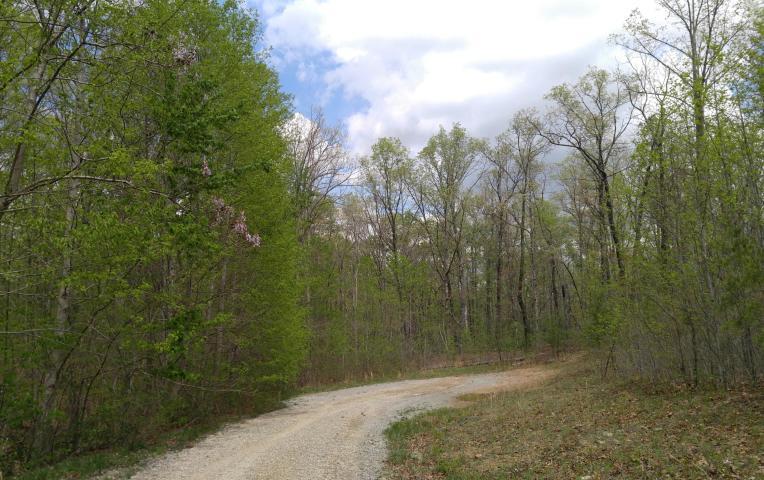 Lot 10 Green Forest Road, Dunlap, Tennessee image 1