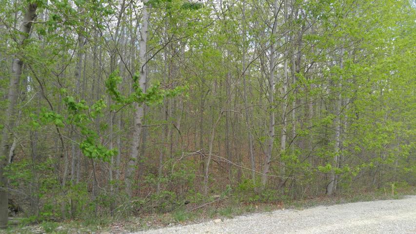 Lot 10 Green Forest Road, Dunlap, Tennessee image 3