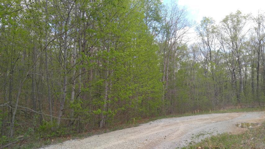 Lot 10 Green Forest Road, Dunlap, Tennessee image 2