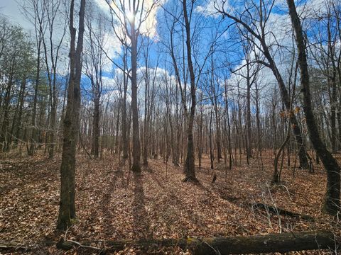 Vacant Land For Sale - 10 Griswold Road<br/> Altamont, TN 37301