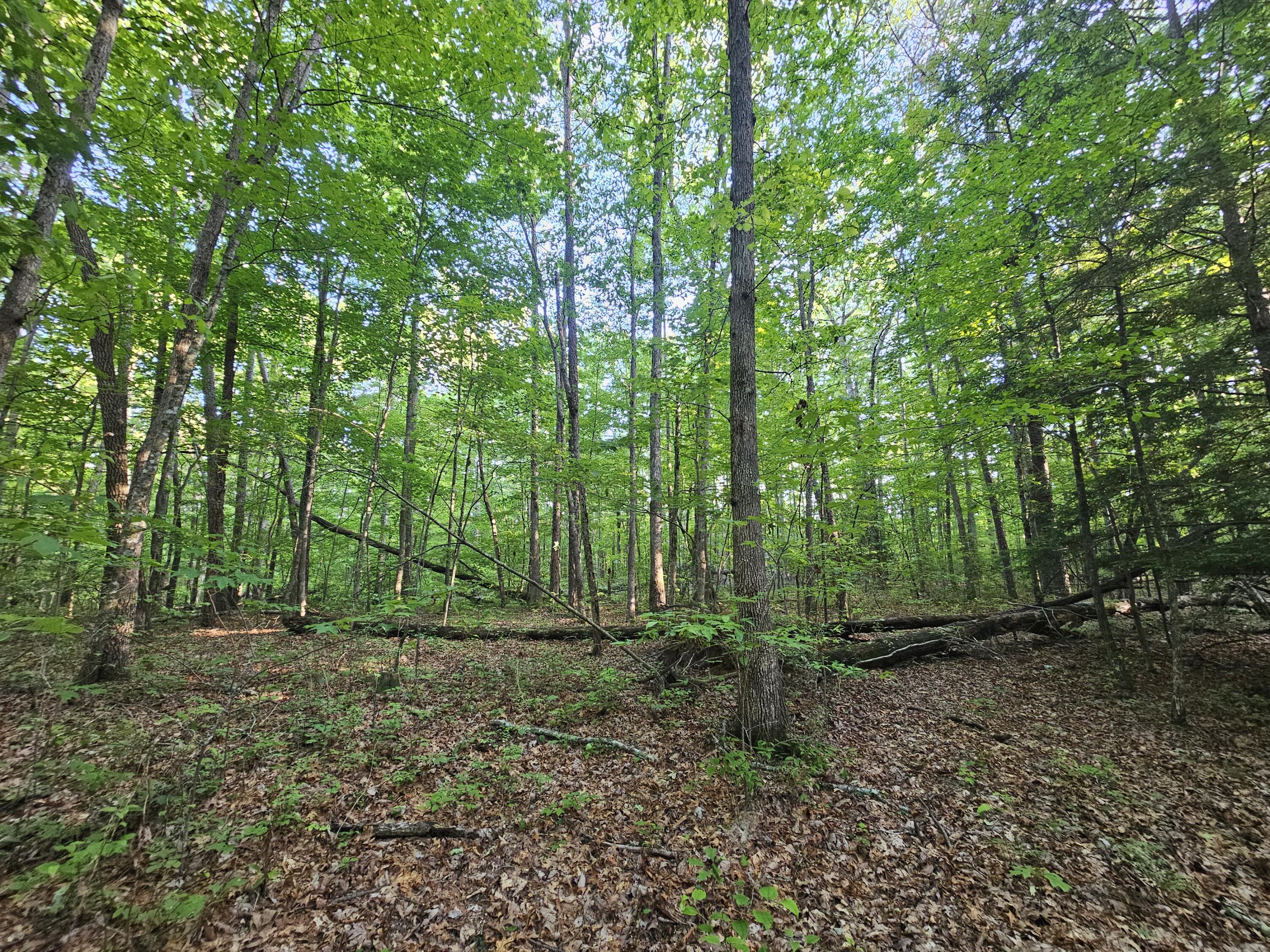 3 Woodfern Lane #SW1E, Coalmont, Tennessee image 11