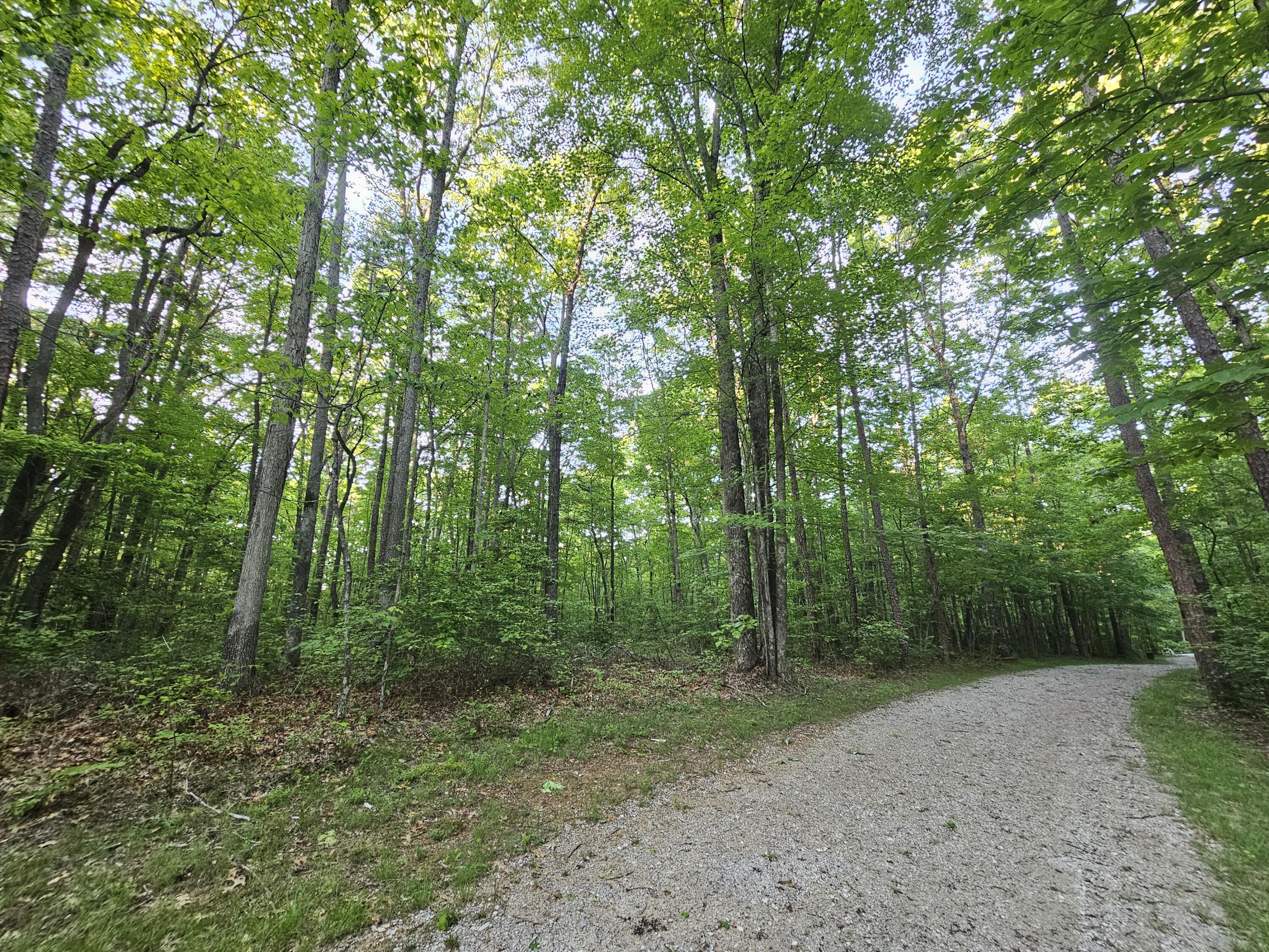 3 Woodfern Lane #SW1E, Coalmont, Tennessee image 6