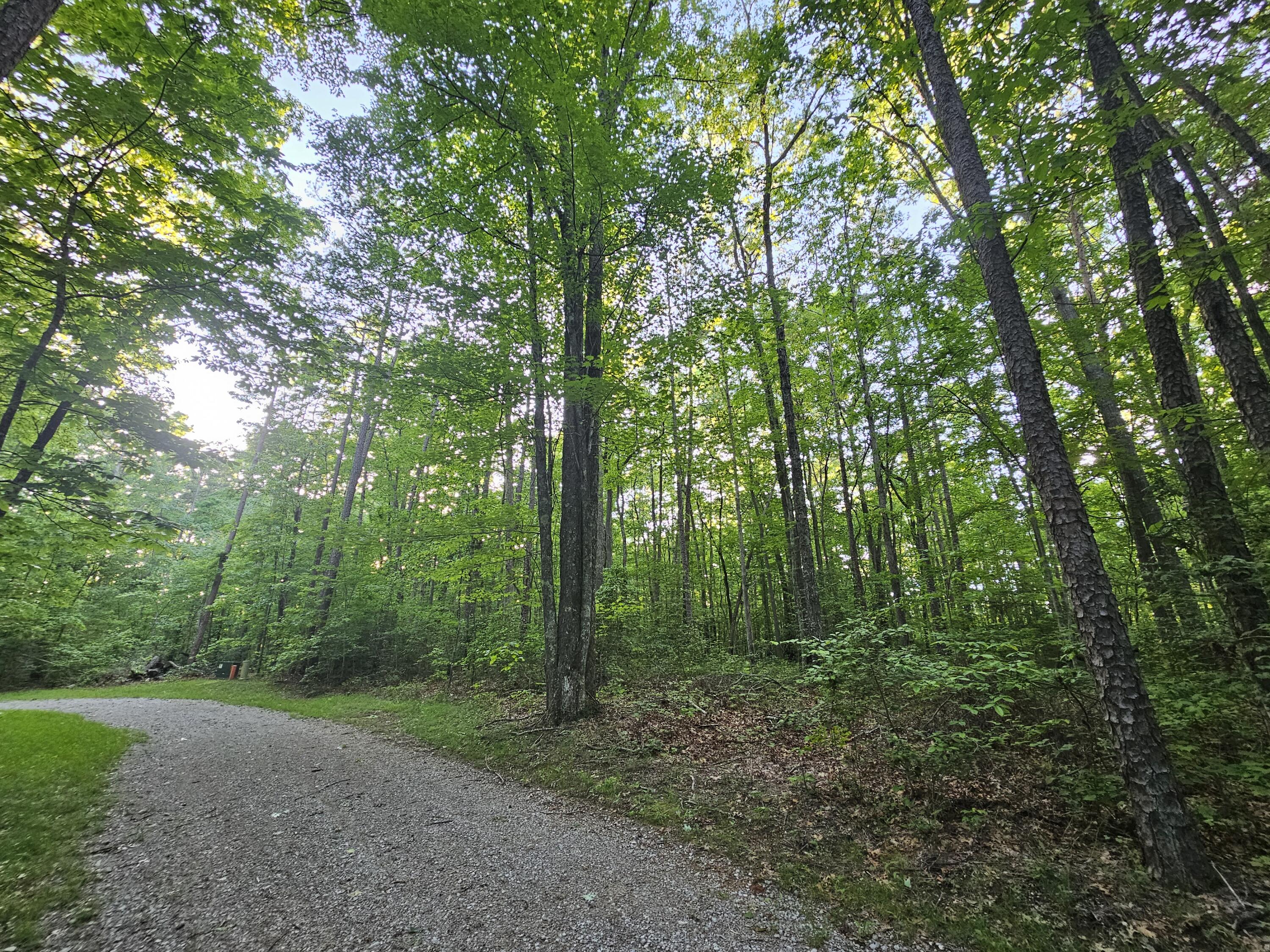 3 Woodfern Lane #SW1E, Coalmont, Tennessee image 5