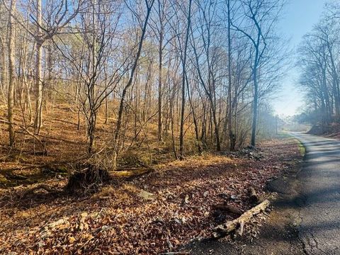 Photo of 0.75 Acre Rauschenberg Road, Dalton, GA 30721 (MLS # 1526006)