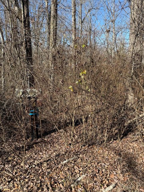 Vacant Land For Sale - 122 Hickory Hollow Road<br/> Cumberland County, Crossville, TN 38572