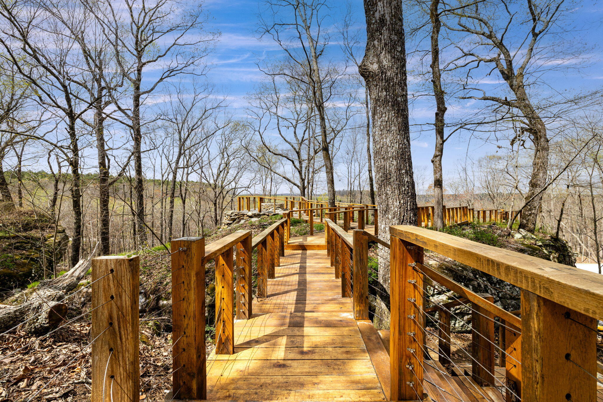 Worley Road #LOT 4, Soddy Daisy, Tennessee image 22