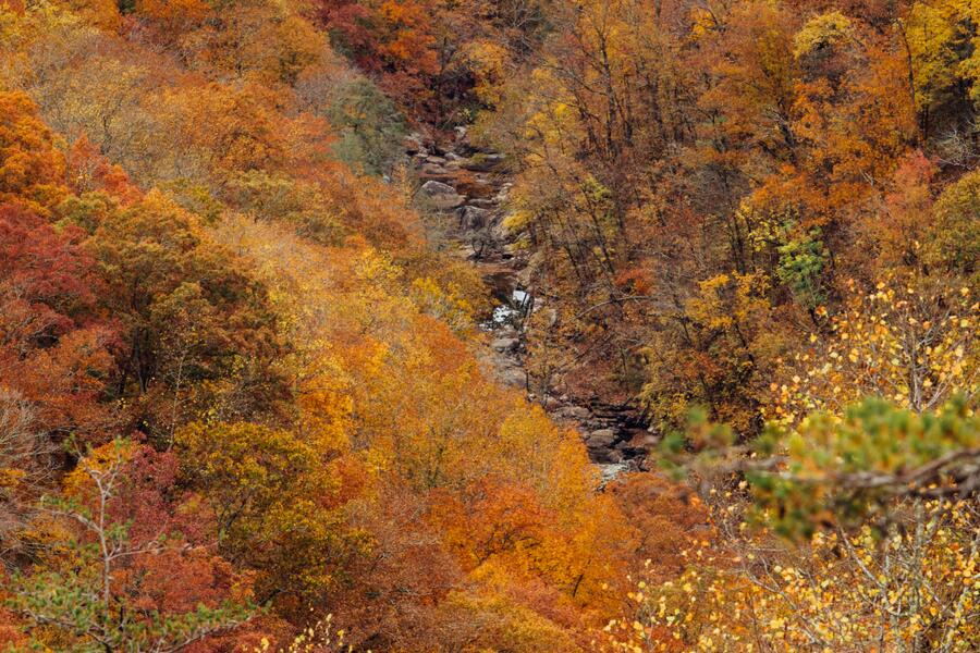Worley Road #LOT 4, Soddy Daisy, Tennessee image 6