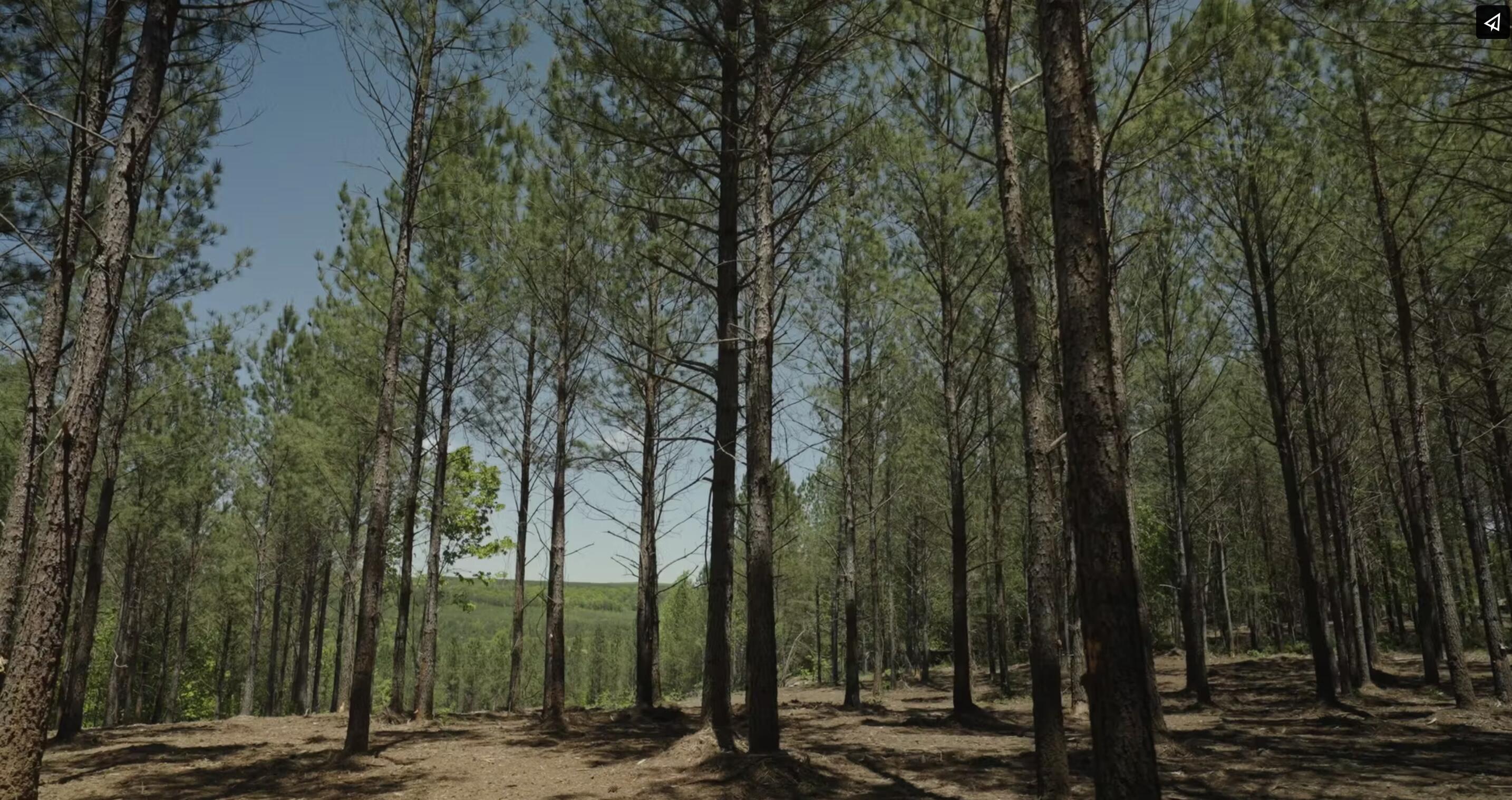 Worley Road #LOT 4, Soddy Daisy, Tennessee image 15