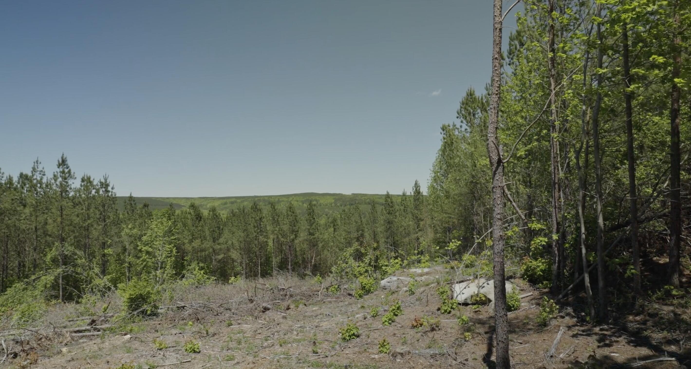 Worley Road #LOT 4, Soddy Daisy, Tennessee image 11