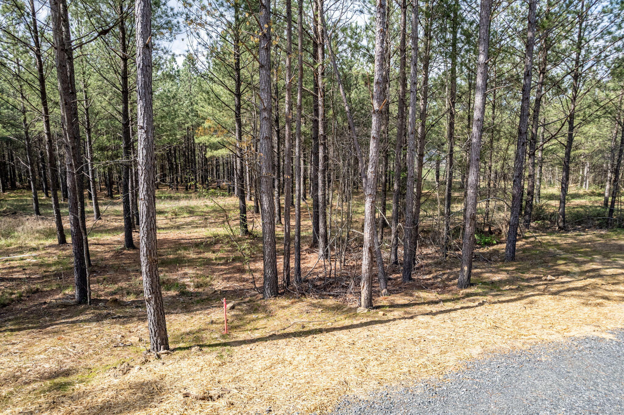 Worley Road #LOT 4, Soddy Daisy, Tennessee image 48