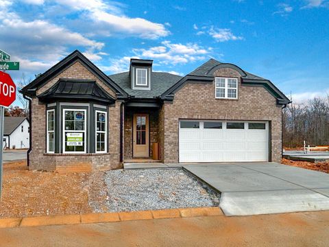 Photo of 1035 Fortitude Trail, Chattanooga, TN 37421 (MLS # 1526169)