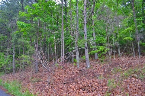 Photo of 8805 Terrace Falls Drive, Soddy Daisy, TN 37379 (MLS # 1545227)