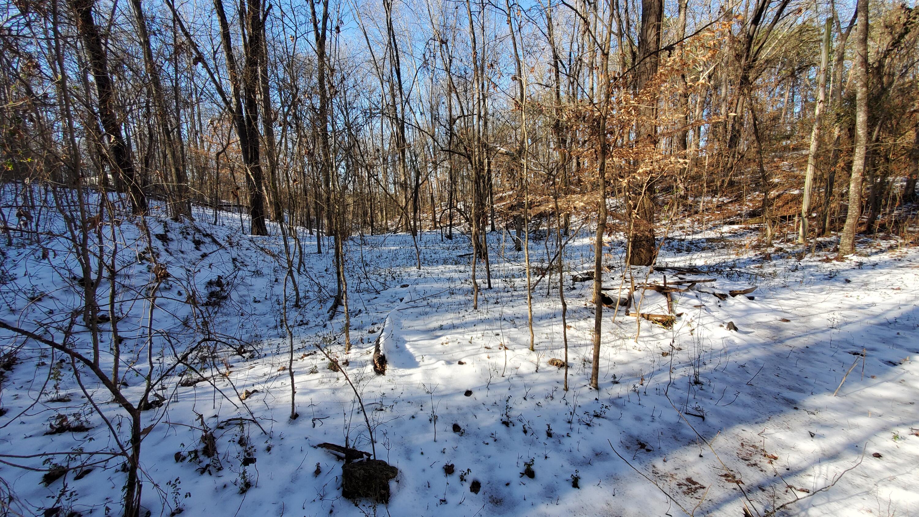 235 Len Mar Road, Spring City, Tennessee image 2