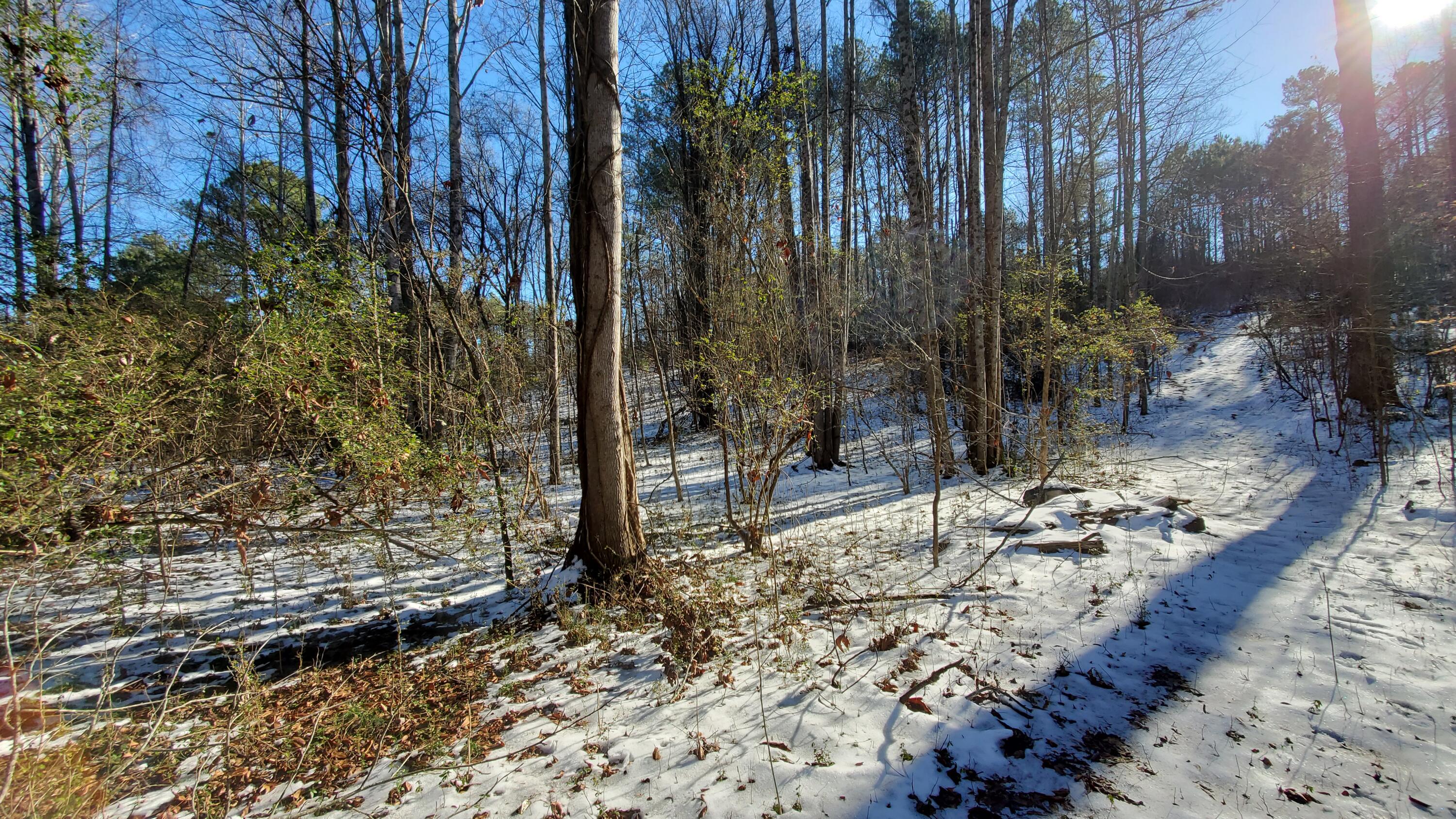 235 Len Mar Road, Spring City, Tennessee image 7