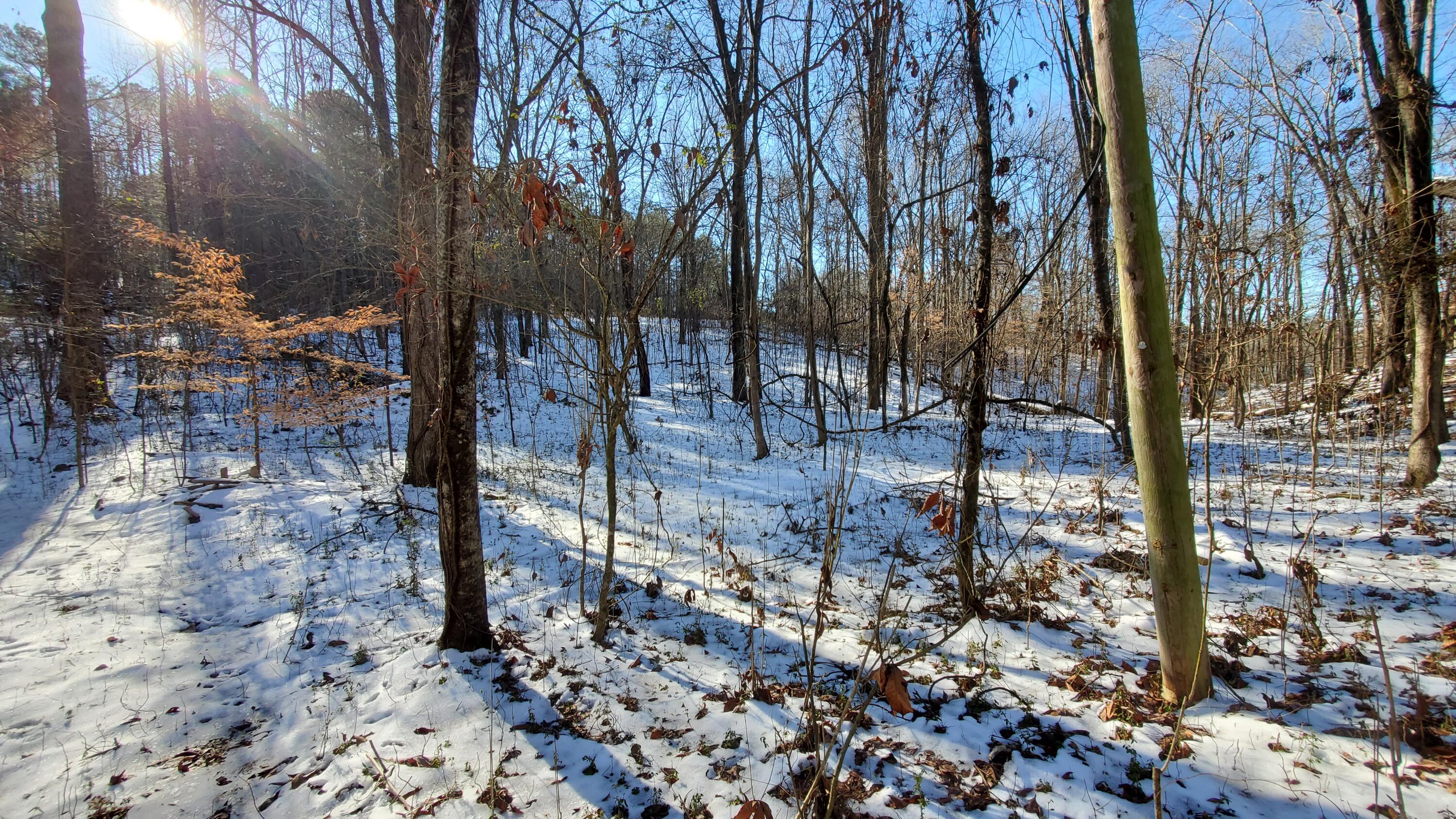 235 Len Mar Road, Spring City, Tennessee image 8
