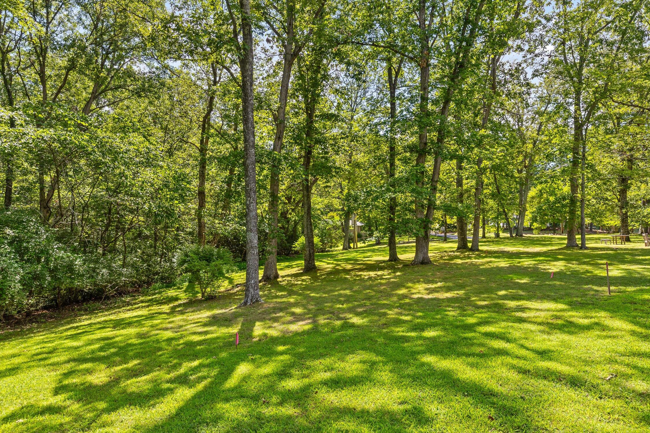 Lookout Mountain, Georgia 30750, United States, ,Land,Active,179011