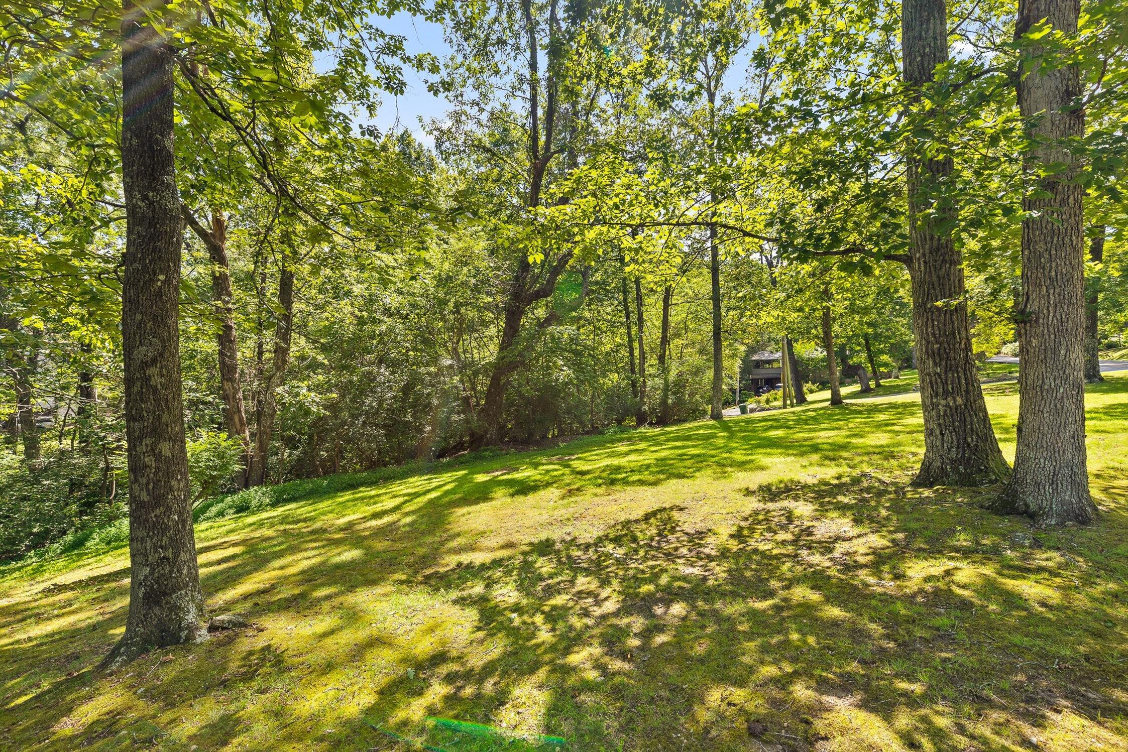 Lookout Mountain, Georgia 30750, United States, ,Land,Active,179011