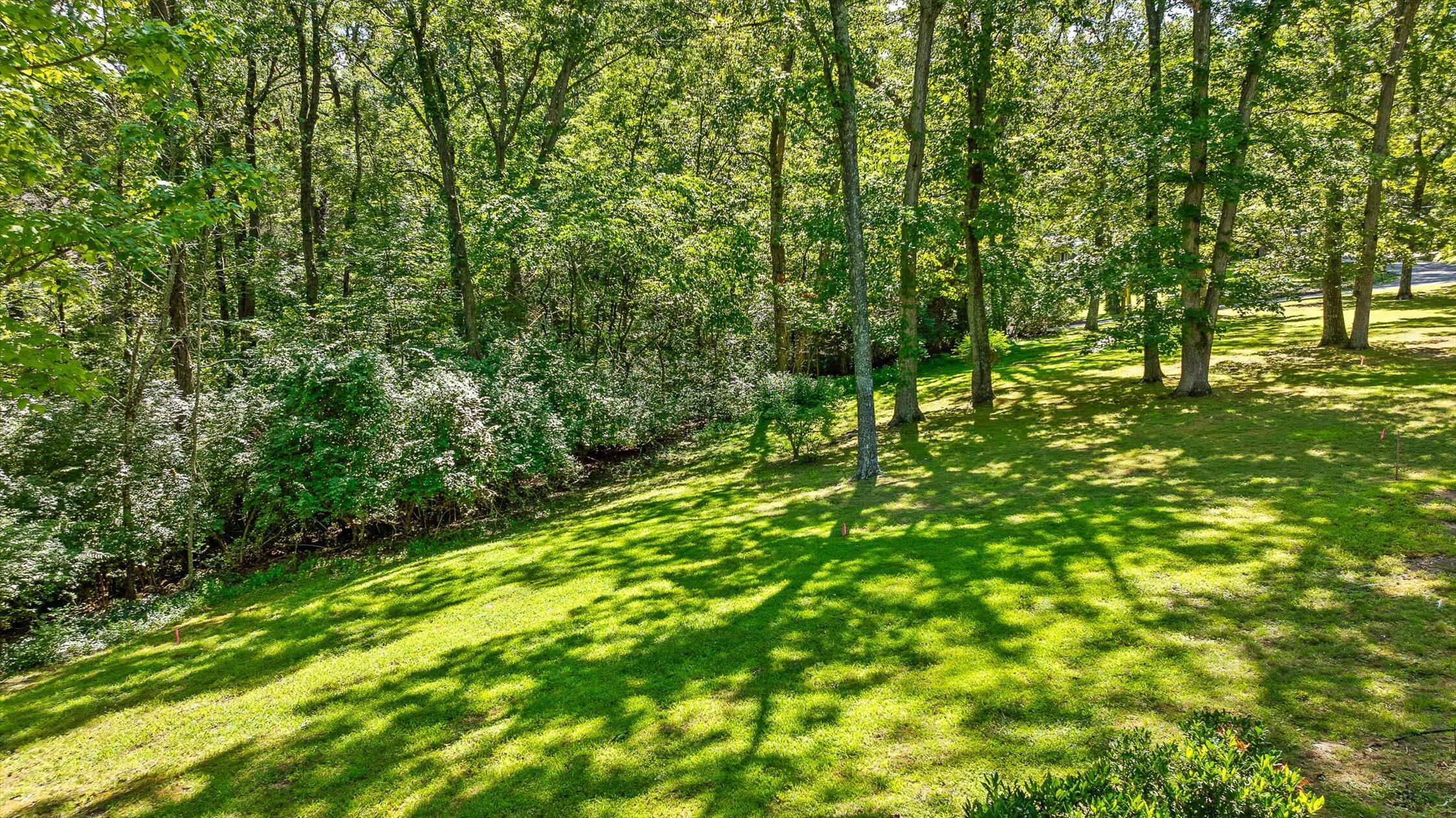 Lookout Mountain, Georgia 30750, United States, ,Land,Active,179011