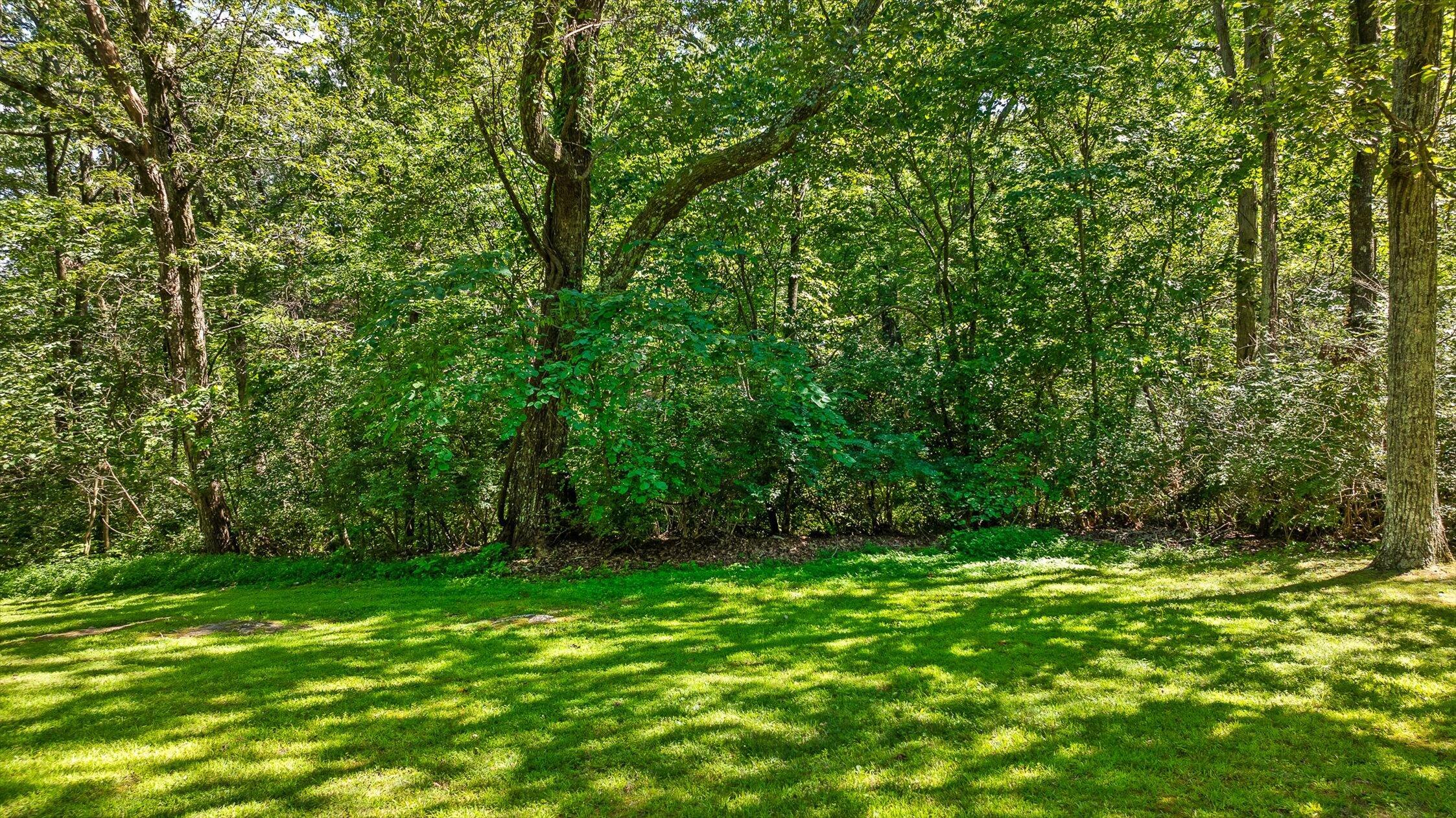 Lookout Mountain, Georgia 30750, United States, ,Land,Active,179011