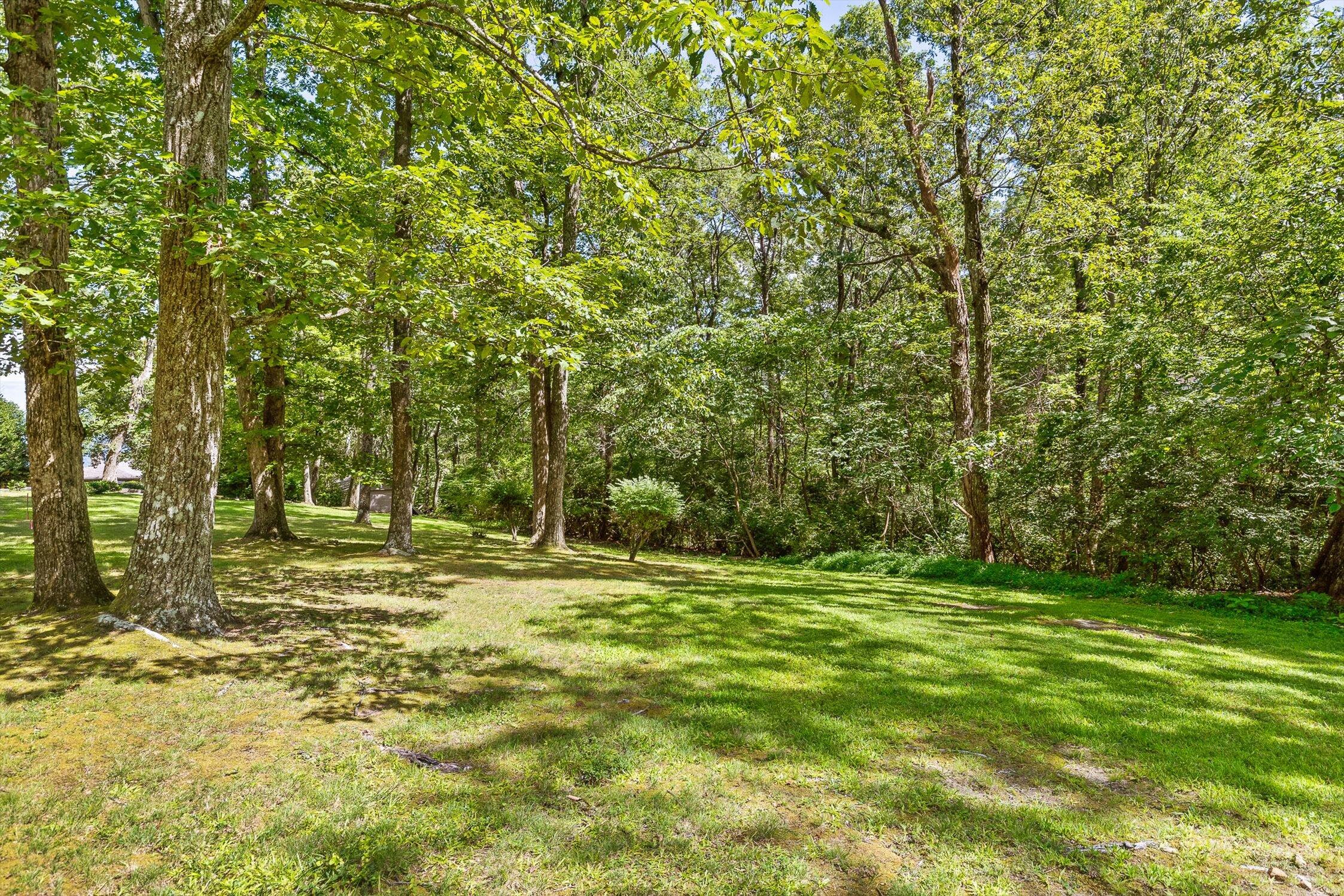 Lookout Mountain, Georgia 30750, United States, ,Land,Active,179011