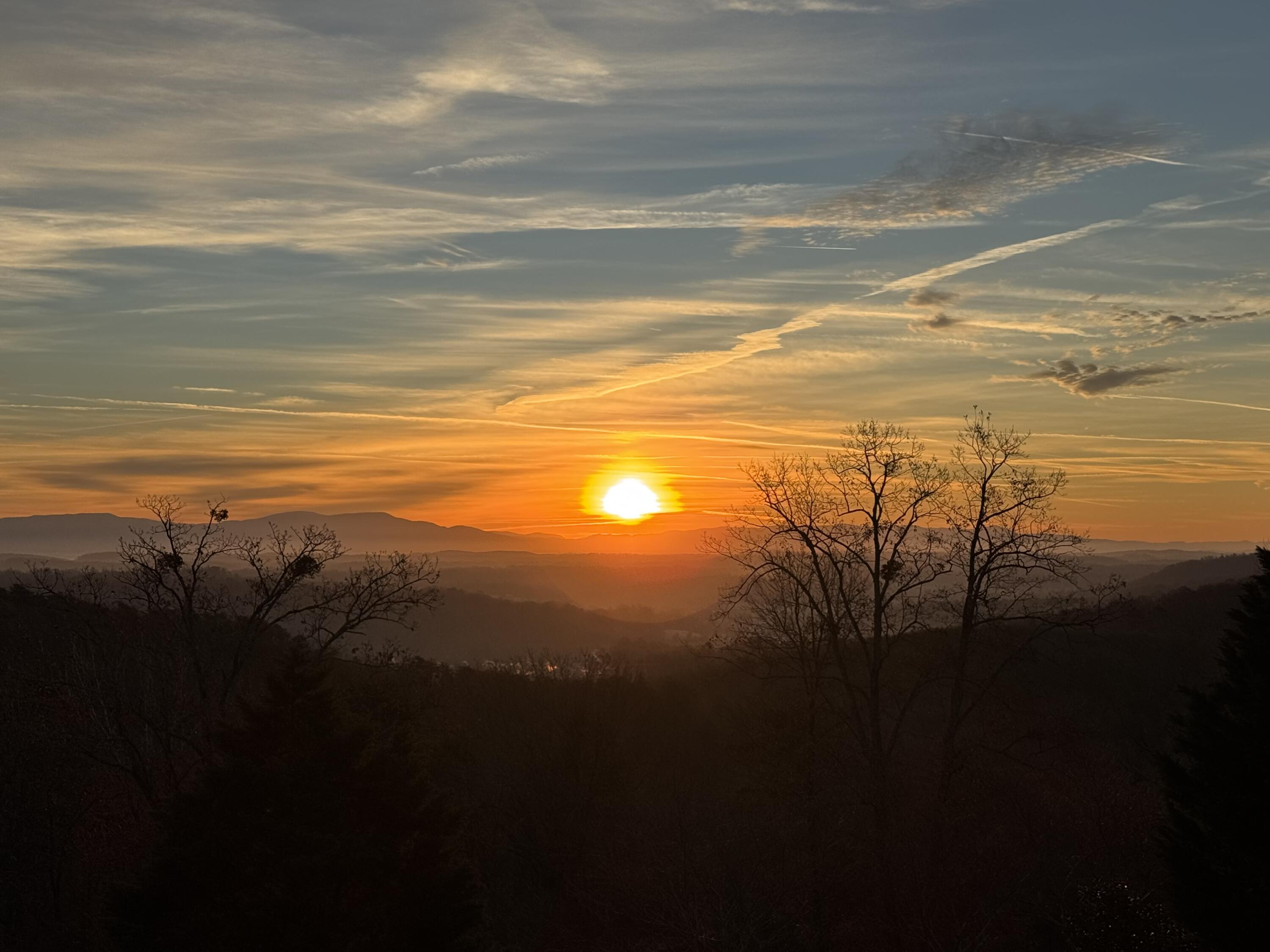 2295 Heavenly View View