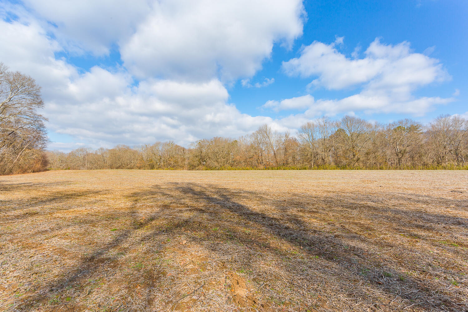 Copeland Road, Benton, Tennessee image 50