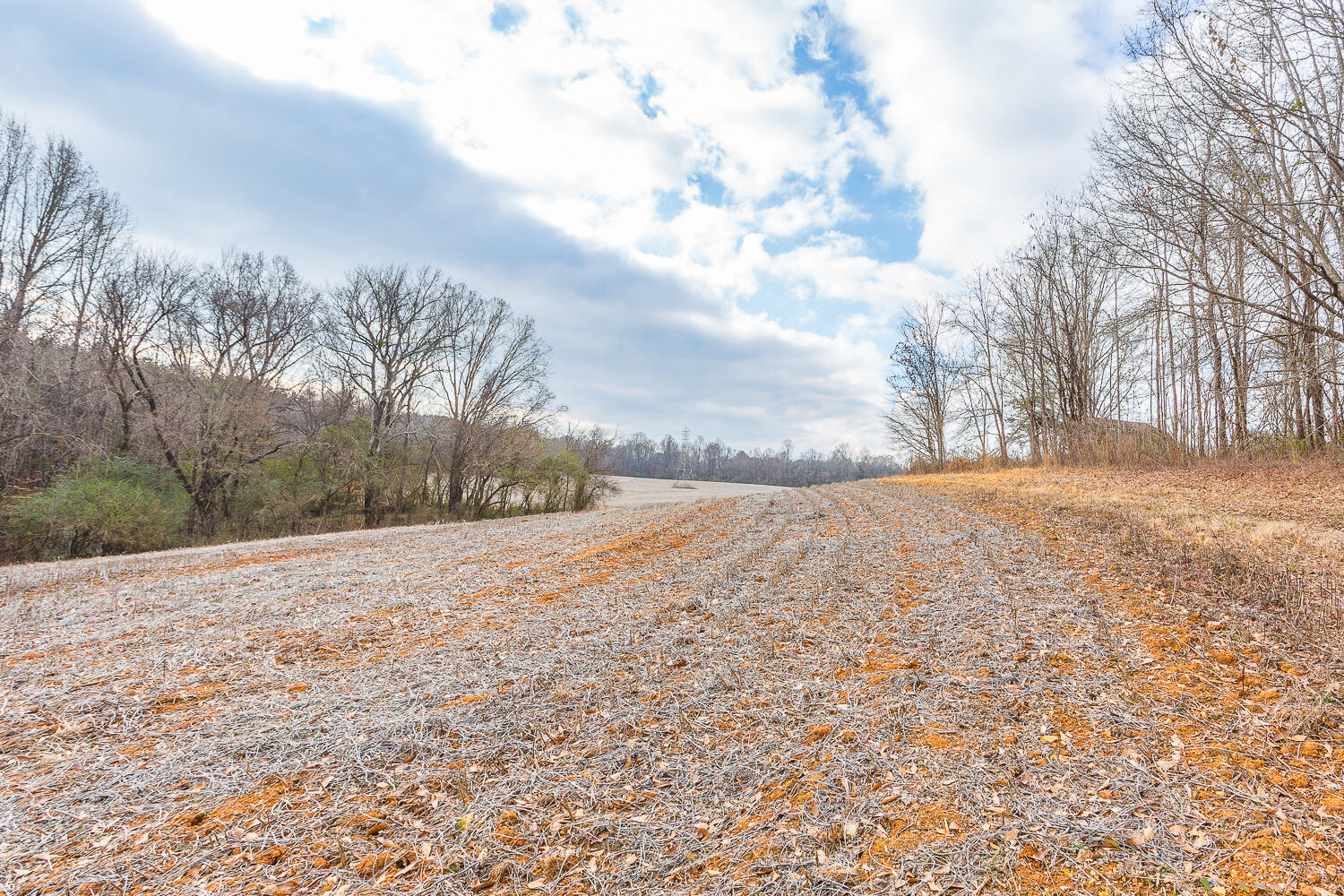 Copeland Road, Benton, Tennessee image 33