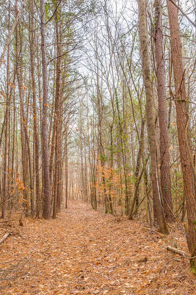 Copeland Road, Benton, Tennessee image 21