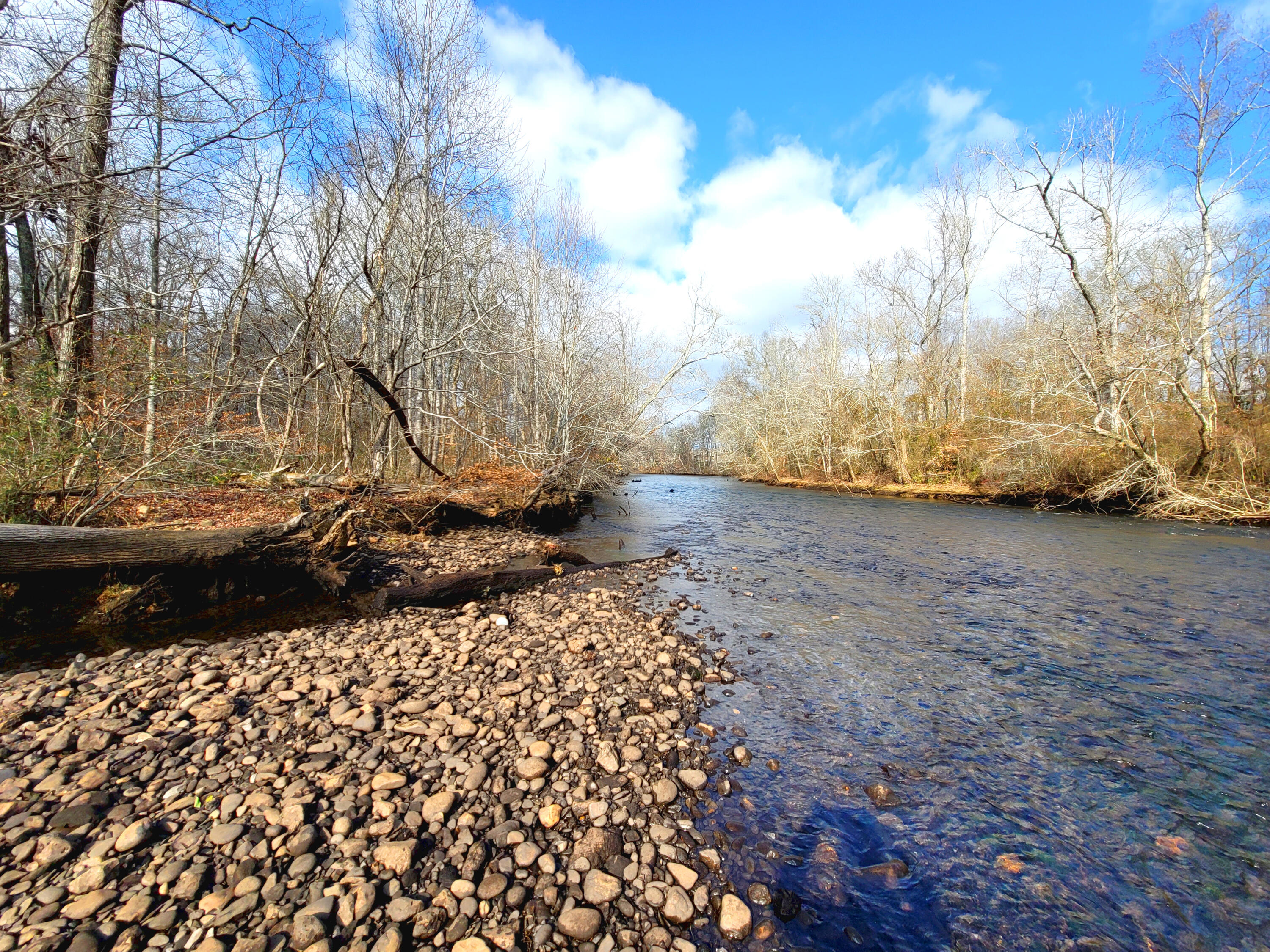 Copeland Road, Benton, Tennessee image 42