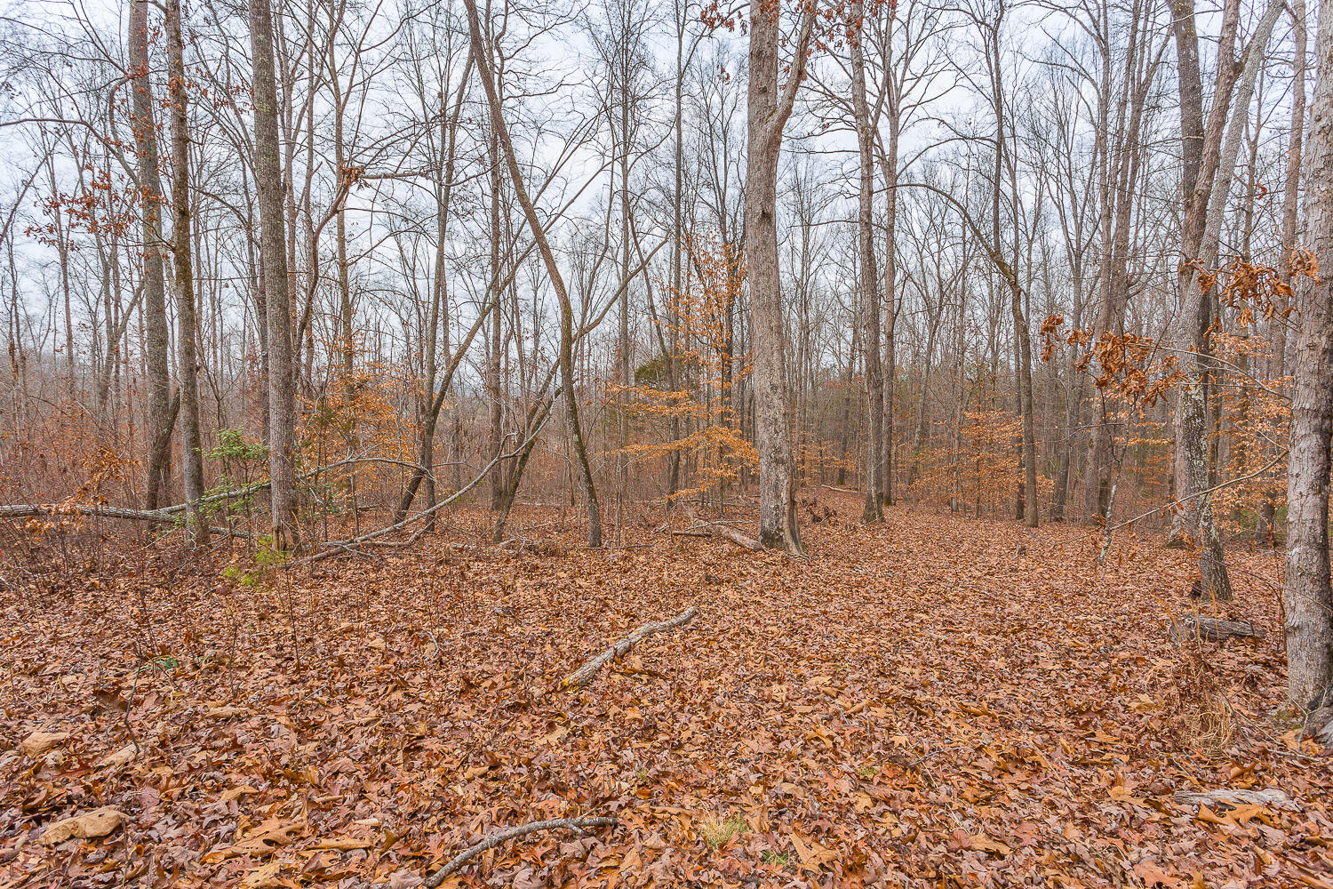 Copeland Road, Benton, Tennessee image 23