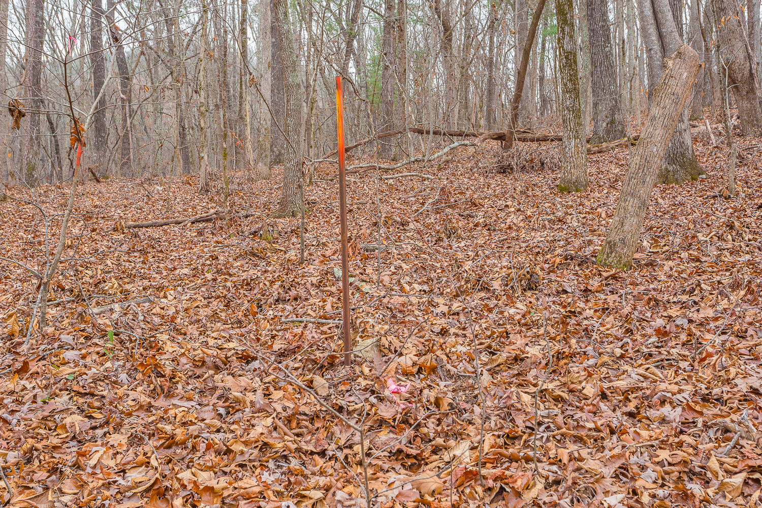 Copeland Road, Benton, Tennessee image 27