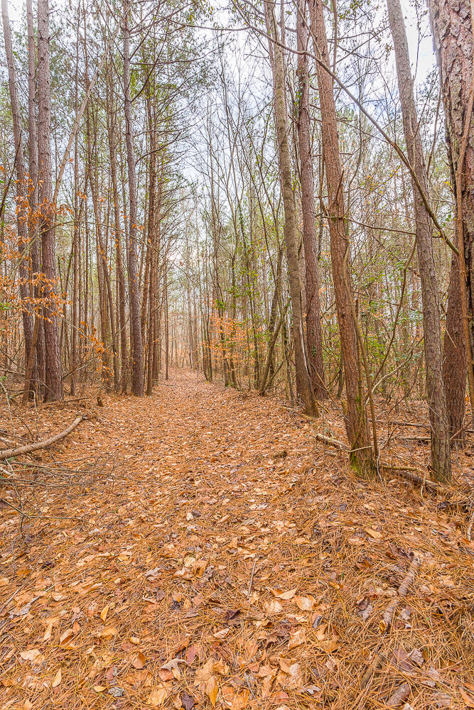 Copeland Road, Benton, Tennessee image 20