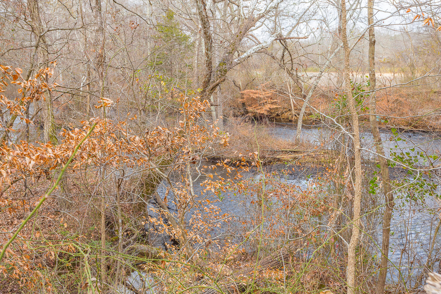 Copeland Road, Benton, Tennessee image 36