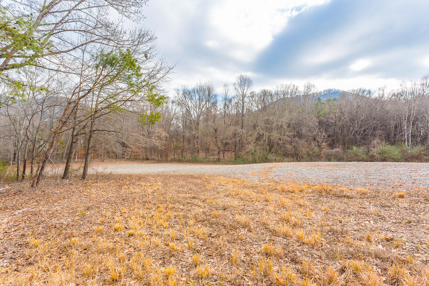 Copeland Road, Benton, Tennessee image 32