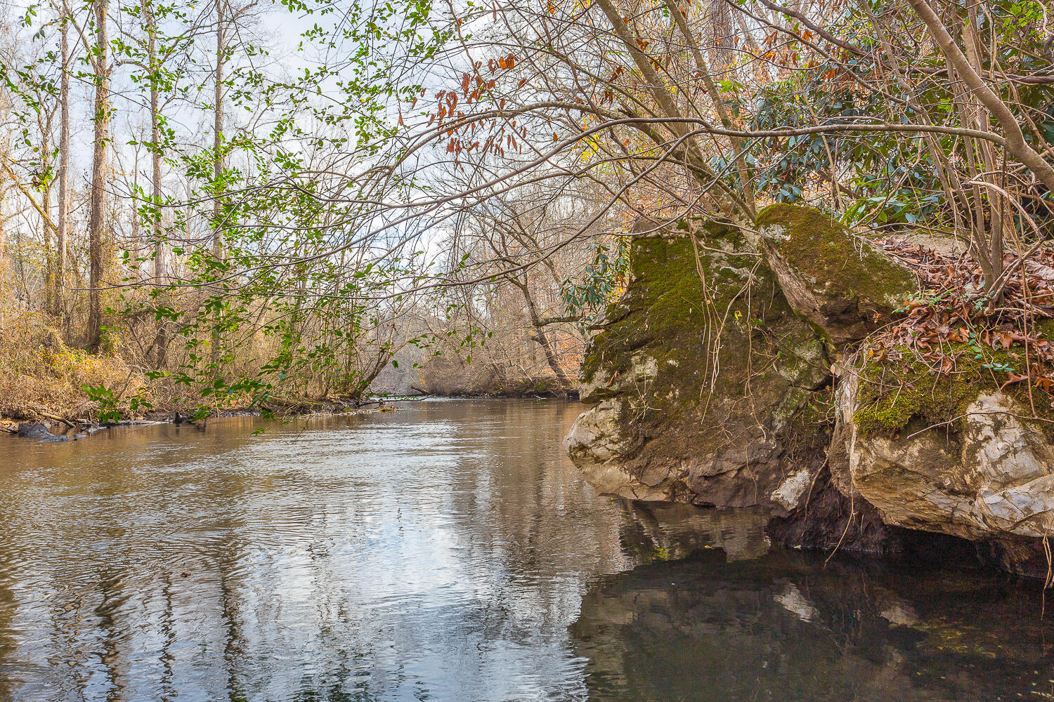 Copeland Road, Benton, Tennessee image 46