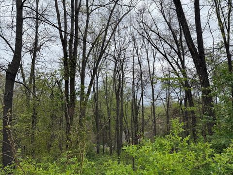 Photo of 3612 Mountain View Drive, Chattanooga, TN 37405 (MLS # 1531987)