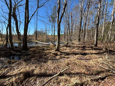 Vacant Land For Sale - 10 Hwy 399<br/> Dunlap, TN 37327